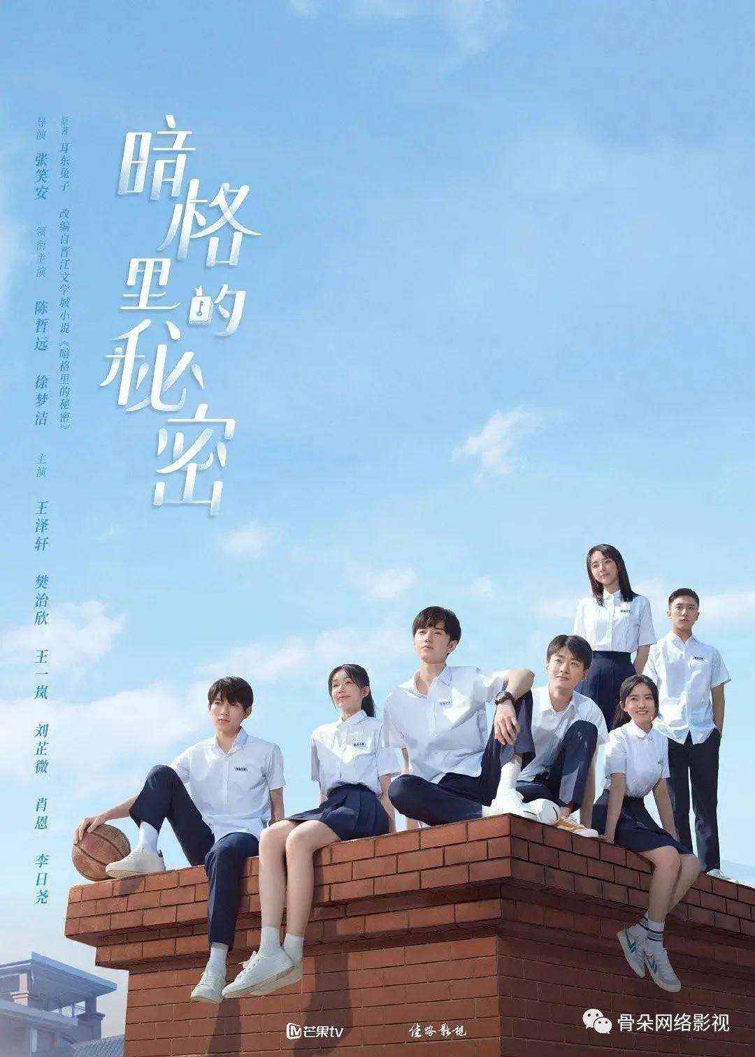 Twentine最新小說的魅力，探索現(xiàn)代情感與人性的深度對(duì)話