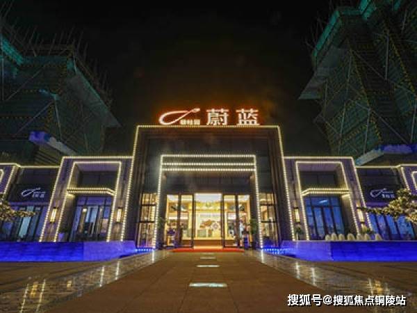 陳戌源最新消息，揭秘背后的真相與未來展望
